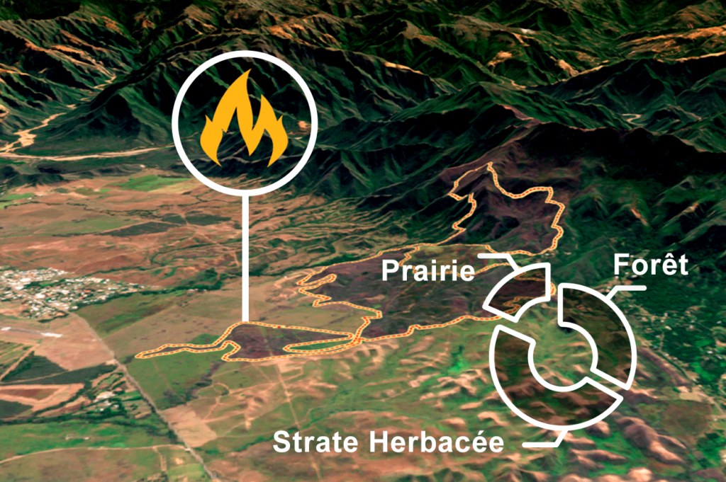 initiation Geomatique géomatique